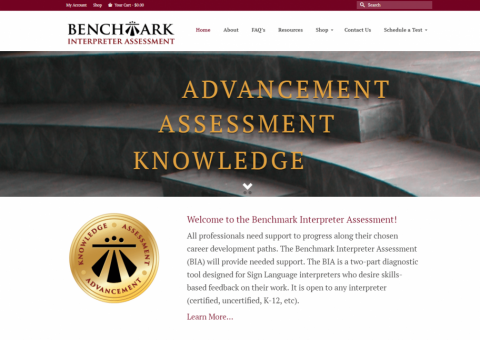 benchmark_interpreter_assessment